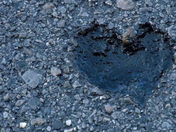 Softening of a Hardened Heart in&nbsp;Singleness